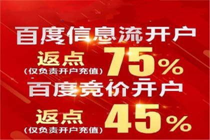 百度SEO推广策略案例：一家公司的成功转型之路