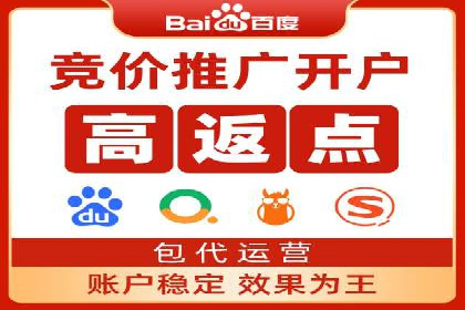 百度推广案例：精准广告投放策略解析